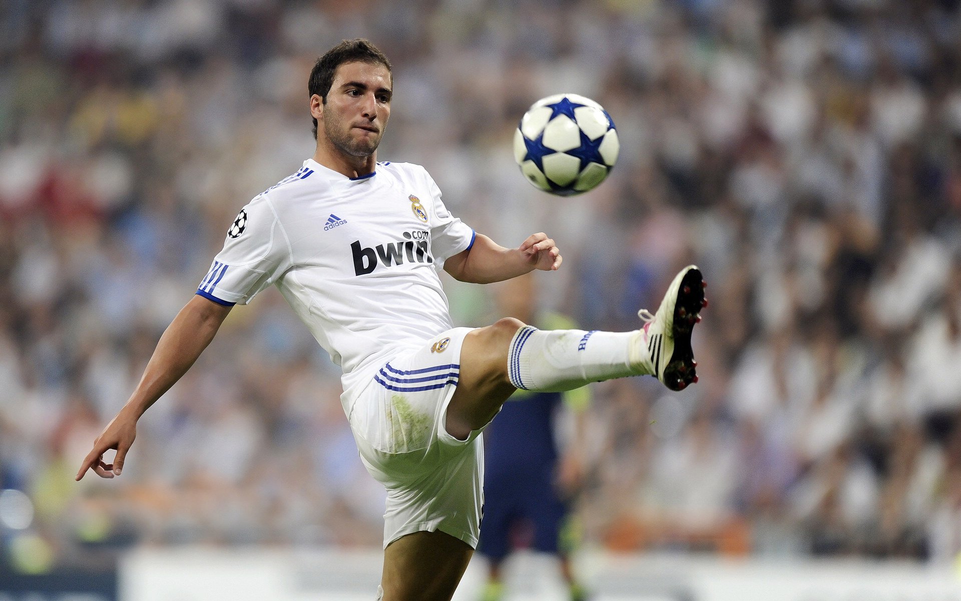 阿莱克西50米蝶泳赛场大放异彩，阿莱克西奇